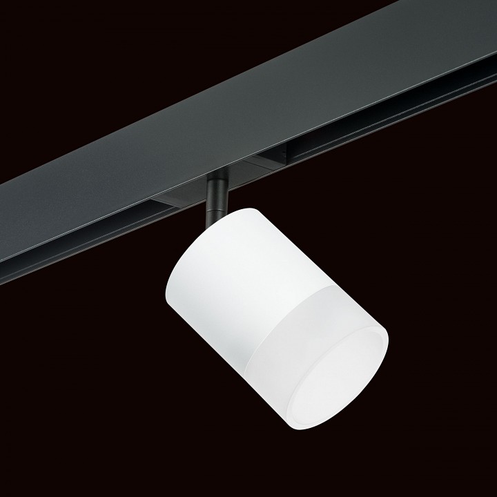 Светильник на штанге lightstar rullo pro348681
