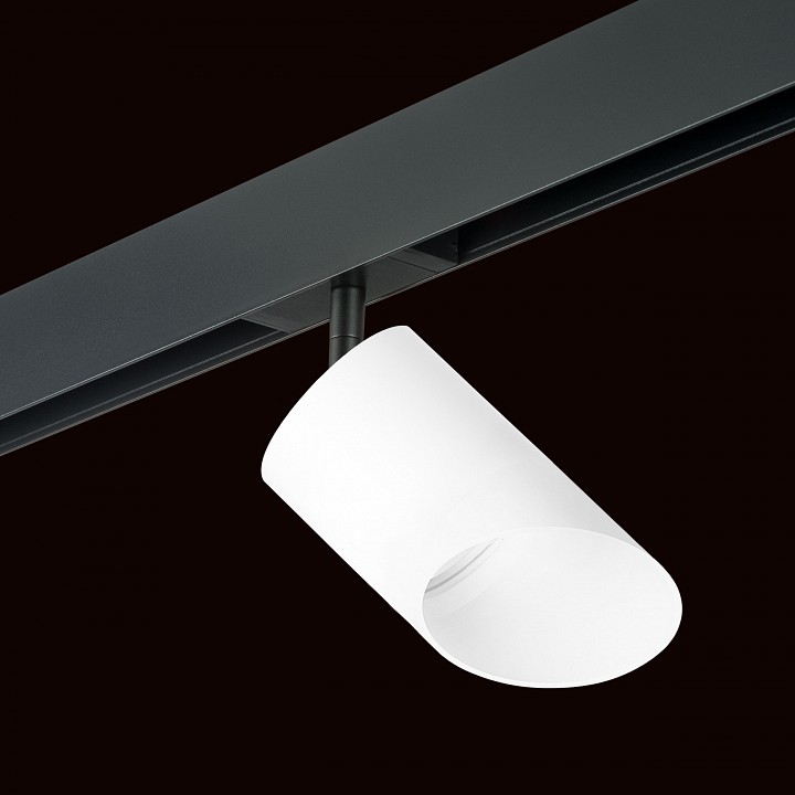 Светильник на штанге lightstar rullo pro348686