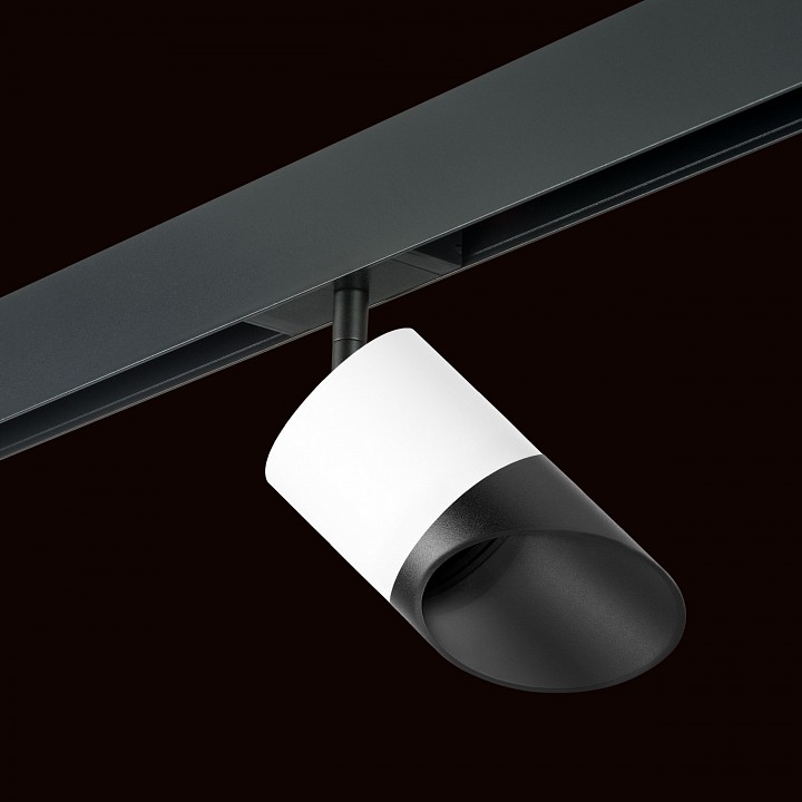 Светильник на штанге lightstar rullo pro348687