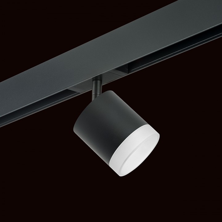Светильник на штанге lightstar rullo pro348780
