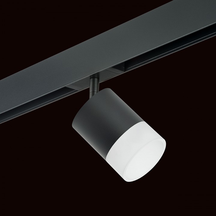 Светильник на штанге lightstar rullo pro348781