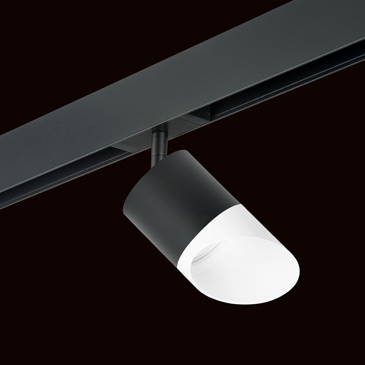 Светильник на штанге lightstar rullo pro348786