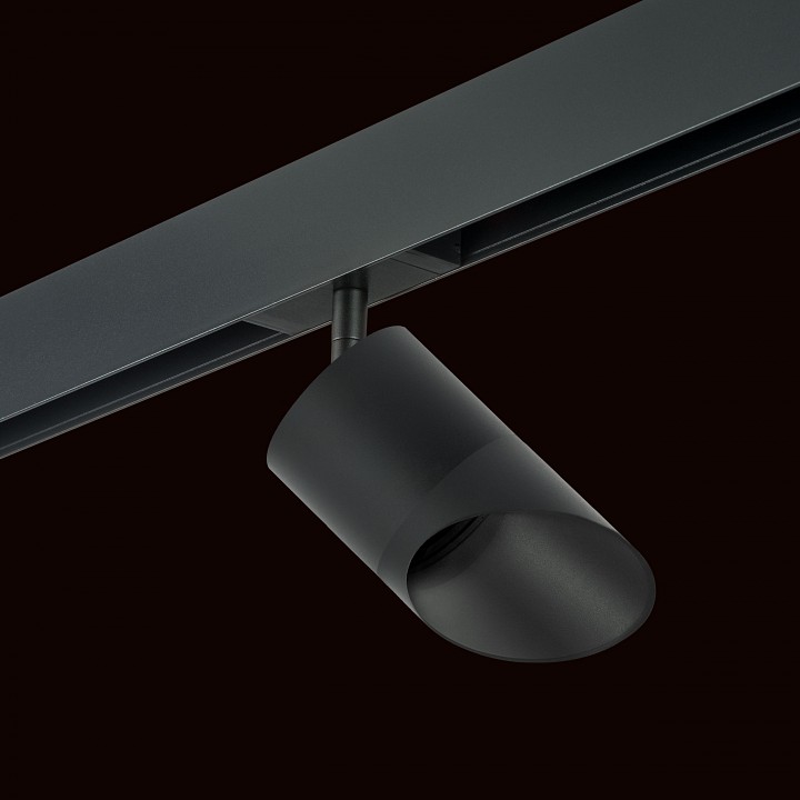 Светильник на штанге lightstar rullo pro348787