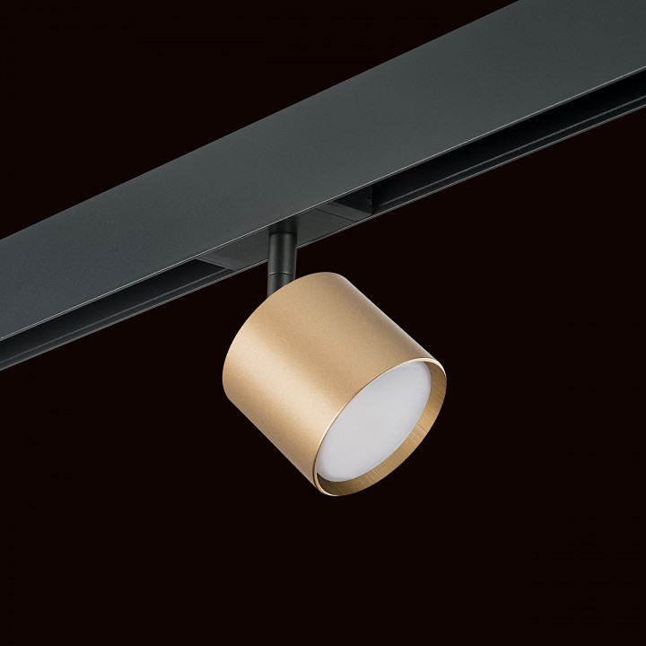 Светильник на штанге lightstar rullo pro3490