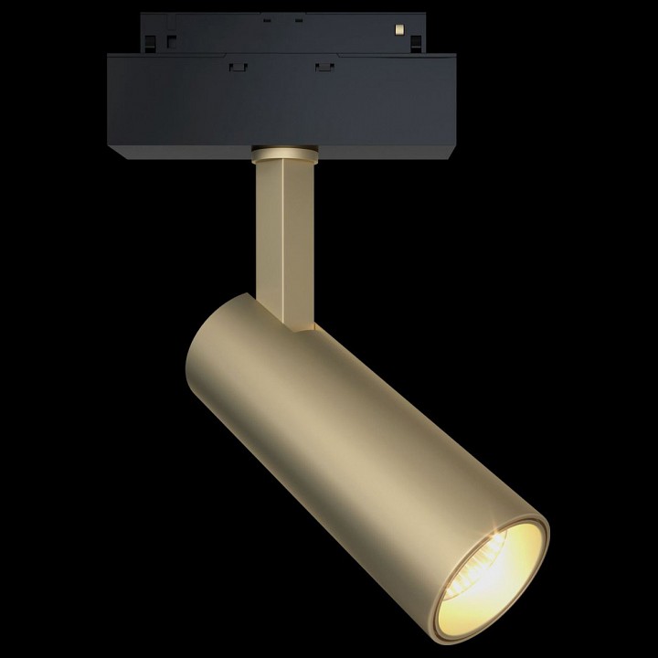 Светильник на штанге maytoni focus led tr019-2-10w4k-mg