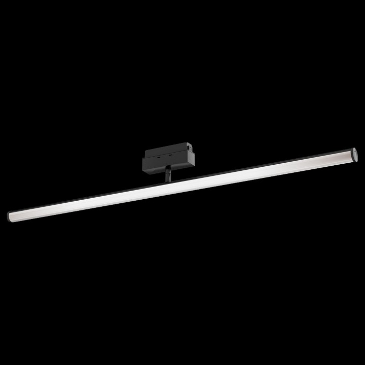 Светильник на штанге maytoni track lamps 3 tr026-2-14b3k