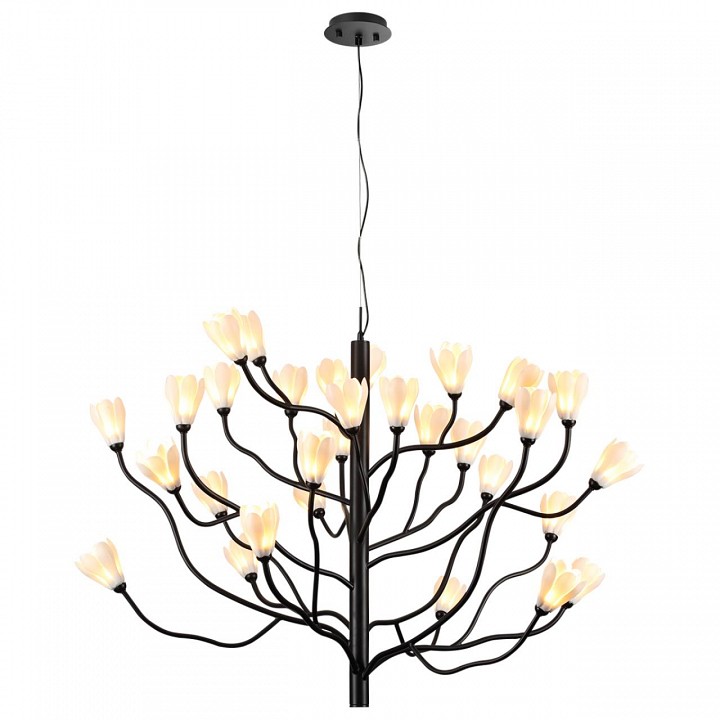 Подвесная люстра odeon light gardi 5090/30