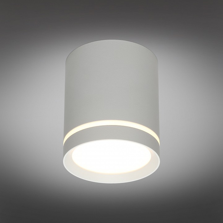 Накладной светильник omnilux capurso oml-102429-05