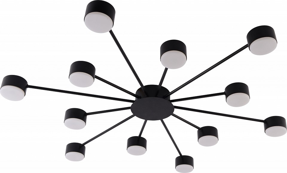 Потолочная люстра rivoli leona 3184-312