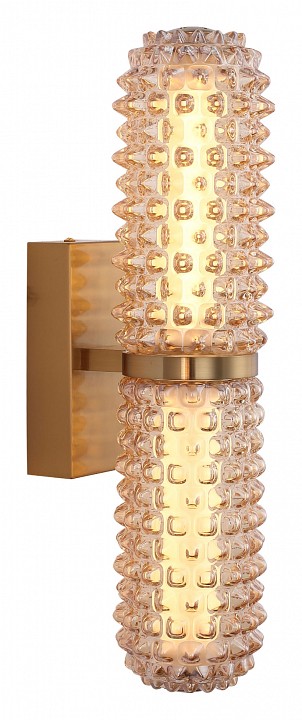 Бра st-luce saguaro sl6144.301.01