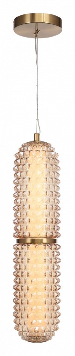 Подвесной светильник st-luce saguaro sl6144.303.01