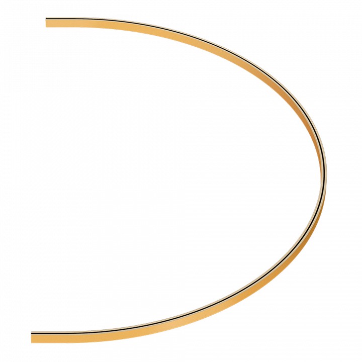 Трек накладной st-luce farm st025.229.00