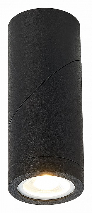 Светильник на штанге st-luce st650 st650.402.01