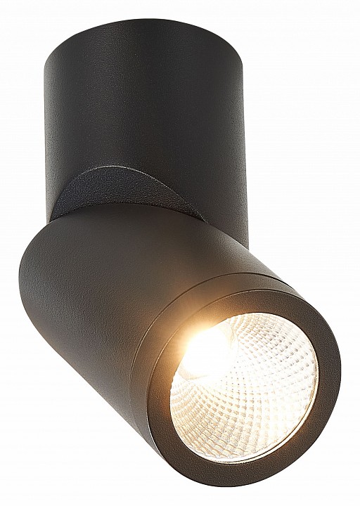 Светильник на штанге st-luce st650 st650.442.10