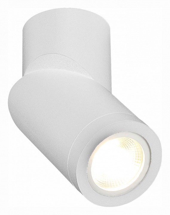 Светильник на штанге st-luce st650 st650.502.01