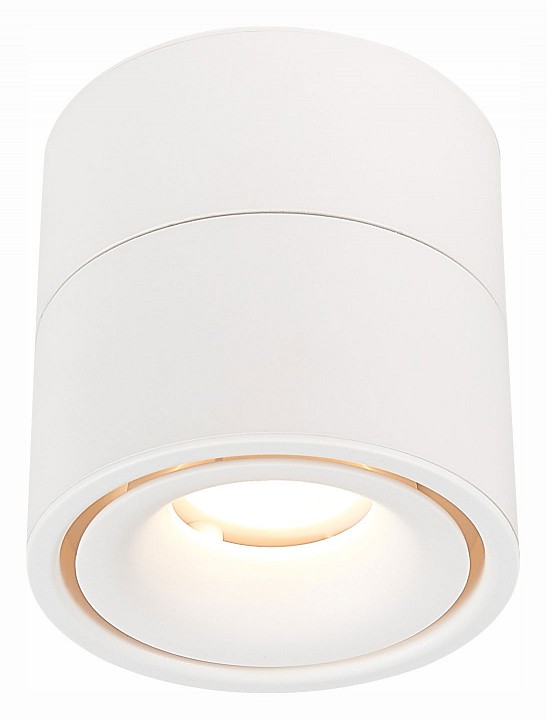 Светильник на штанге st-luce st652 st652.542.12