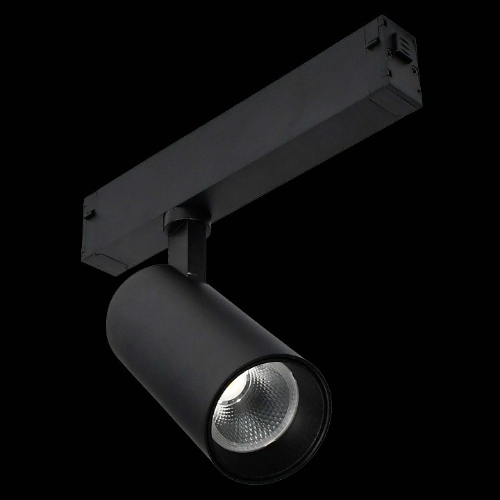 Светильник на штанге st-luce st660 st660.496.20