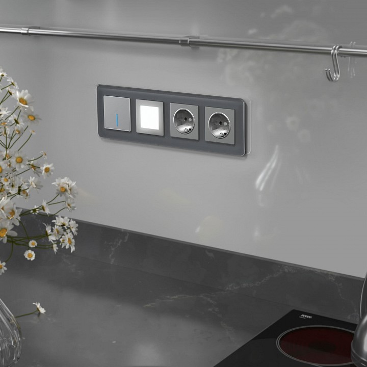 Рамка на 4 поста werkel elite (графит, Стекло) w0042440