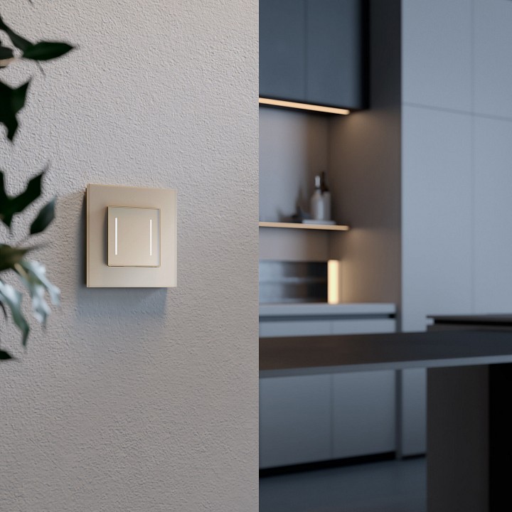 Рамка на 1 пост werkel senso (шампань, Стекло soft-touch) w0013111