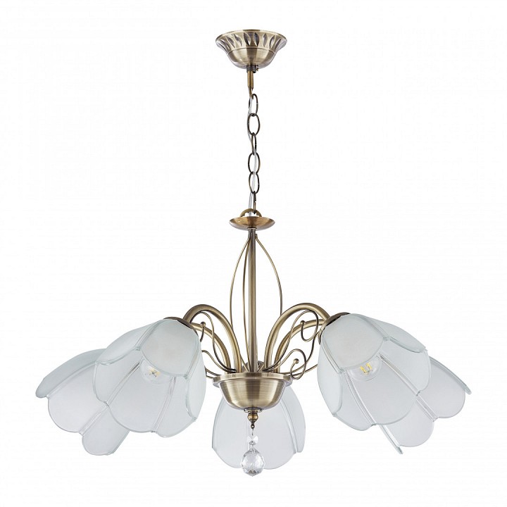 Подвесная люстра arte milano amalfi-2656 332656/5 ab