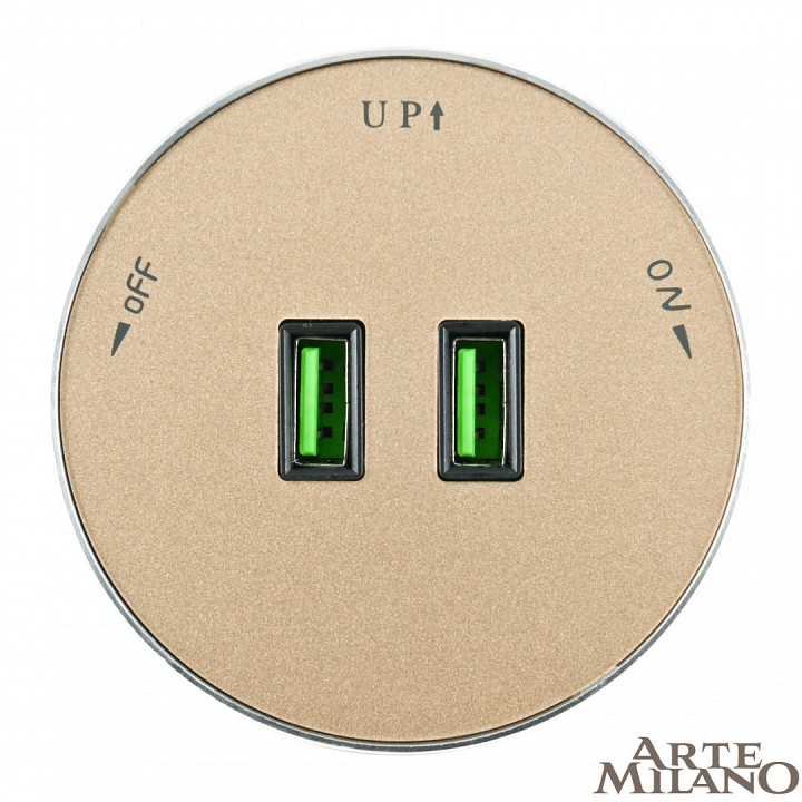 Розетка 2xusb на треке arte milano am-track-sockets 380011ts/usbx2 gold