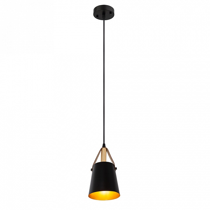 Подвесной светильник arte lamp thomas a7032sp-1bk