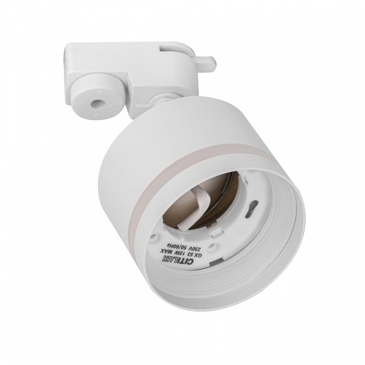 Светильник на штанге citilux hardy cl002t10