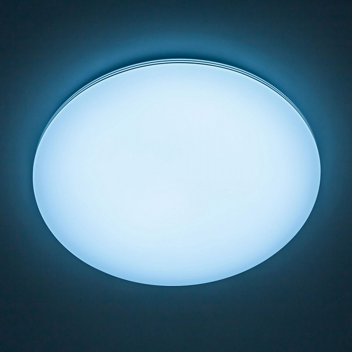 Накладной светильник citilux симпла cl714900g