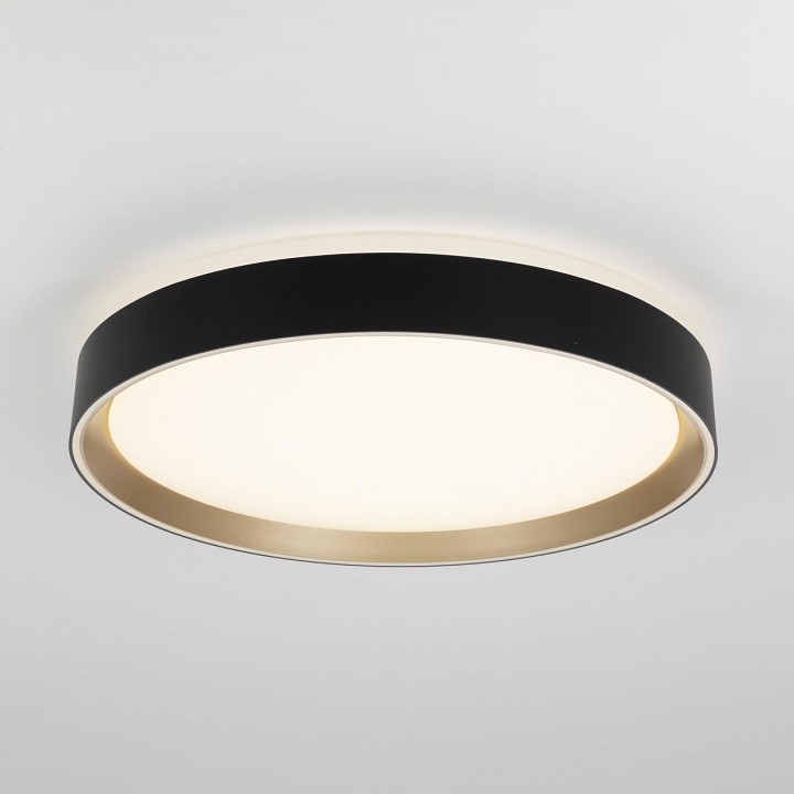Накладной светильник citilux boss cl751351g