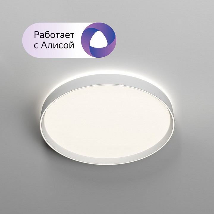 Накладной светильник denkirs plato dk6511-wh/1