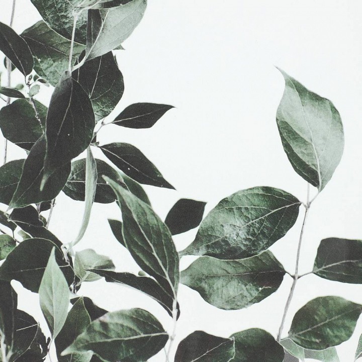 Картина eglo roberval 423042