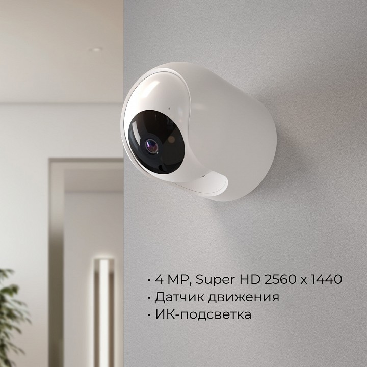 Видеокамера безопасности elektrostandard wf 76500/00