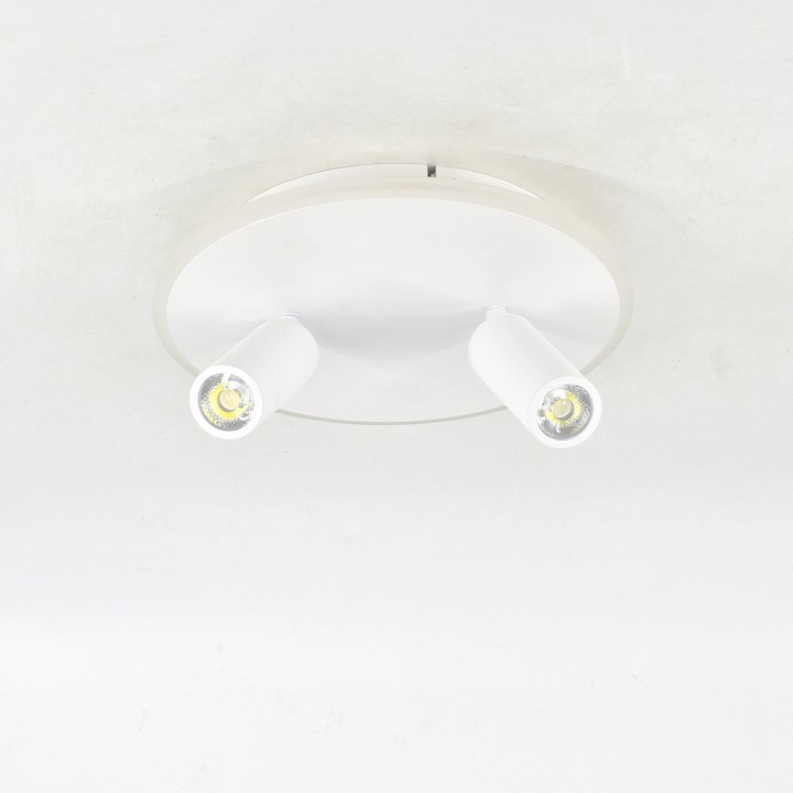Светильник на штанге escada 20046led 20046sma/02led wh