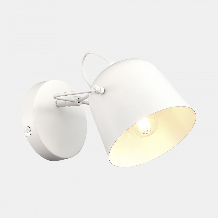 Бра evoluce blank sle1805-501-01