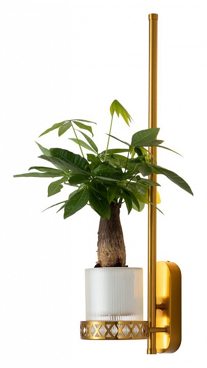 Бра favourite greenery 4050-1w