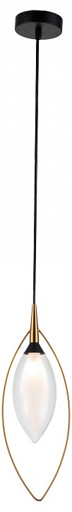 Подвесной светильник indigo fiore 13001/1p black