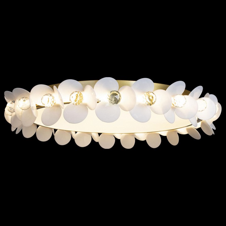 Накладной светильник loft it bride 10176
