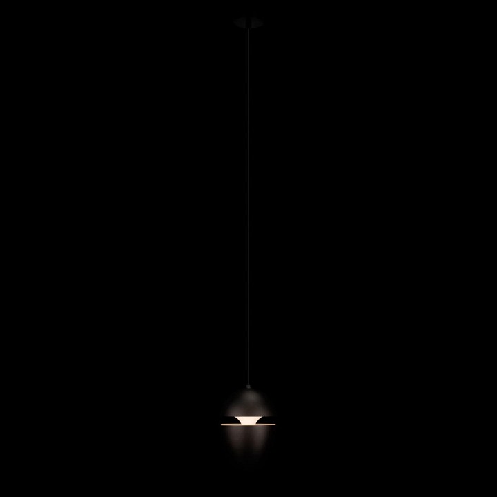 Подвесной светильник loft it viterbo 10336 black
