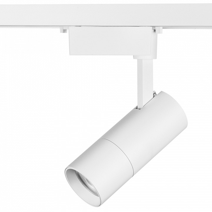 Светильник на штанге lightstar volta 229246