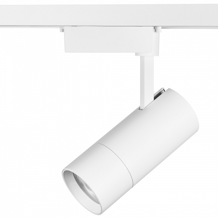 Светильник на штанге lightstar volta 229336