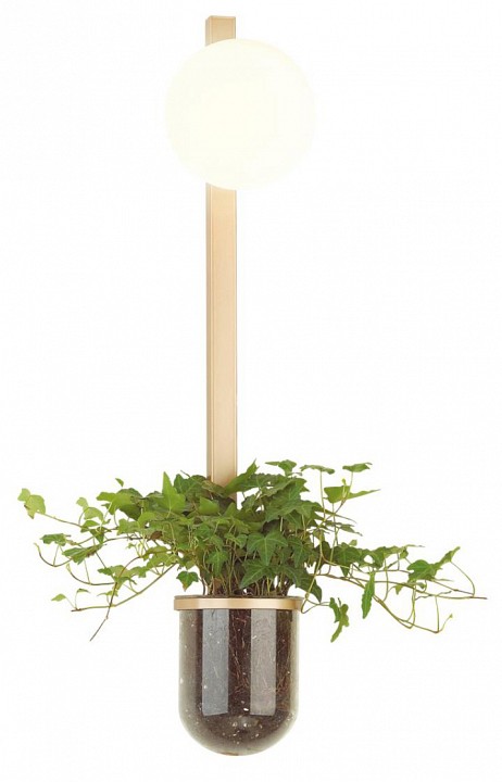 Бра odeon light flower 4682/1wb