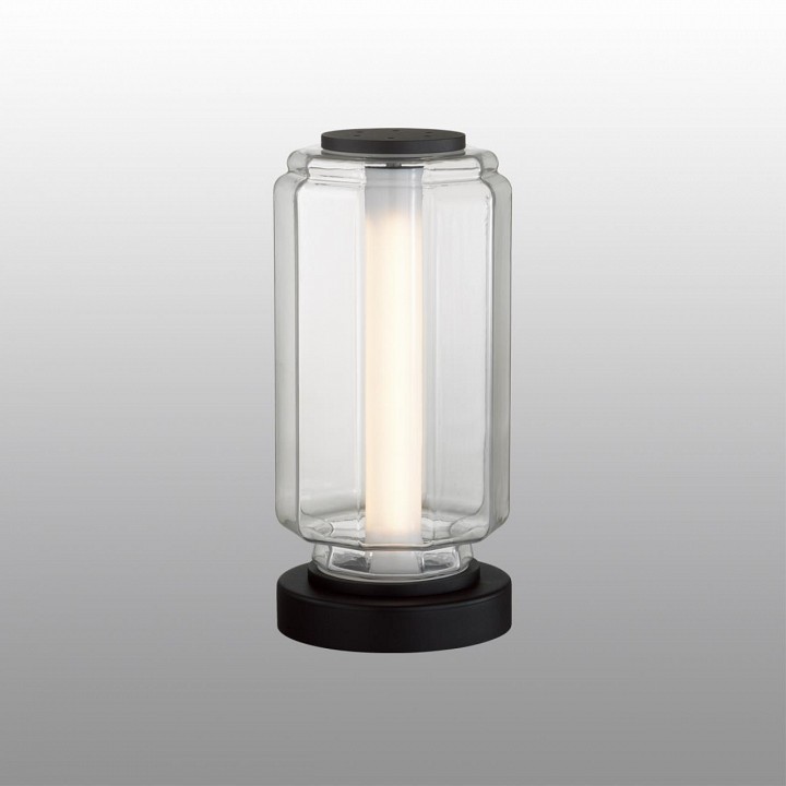 Настольная лампа декоративная odeon light jam 5409/10tl