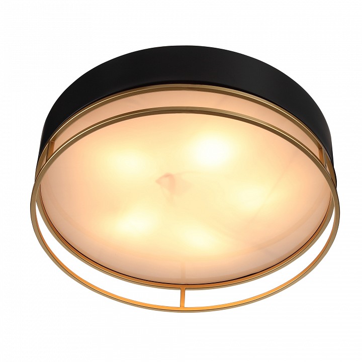 Накладной светильник st-luce chodo sl1127.432.05