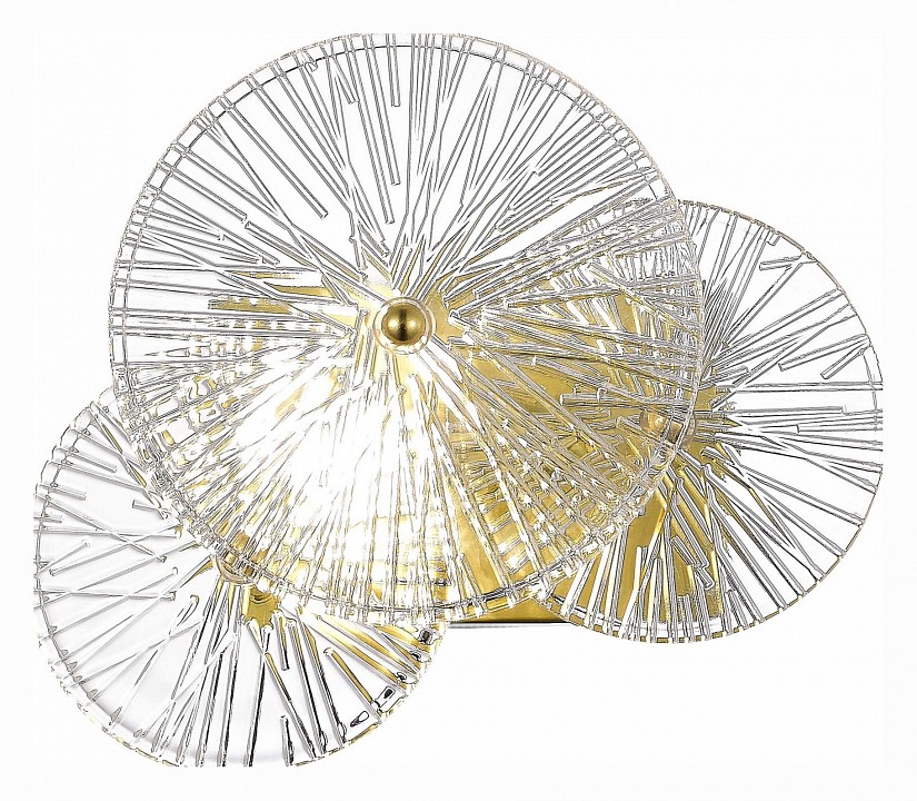 Накладной светильник st-luce flero sl1657.201.01