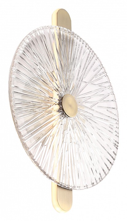 Накладной светильник st-luce wasi sl6141.301.01