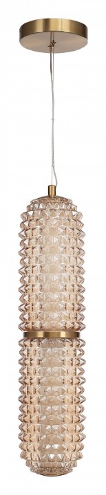 Подвесной светильник st-luce saguaro sl6144.303.01