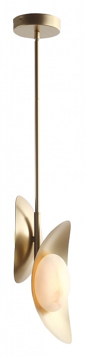Подвесной светильник st-luce pearl sl6229.203.02