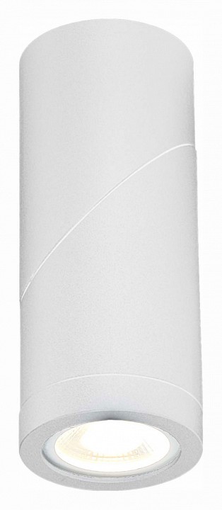 Светильник на штанге st-luce st650 st650.502.01