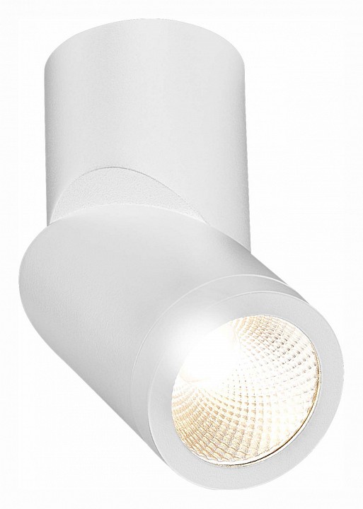 Светильник на штанге st-luce st650 st650.532.10