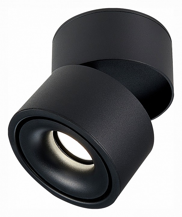 Светильник на штанге st-luce st652 st652.442.12